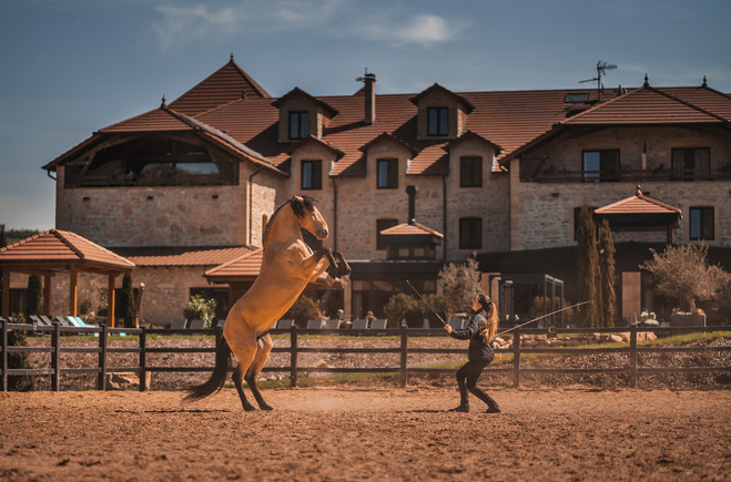 Equicoaching et équithérapie au Domaine de la Klauss : le bien-être par les chevaux