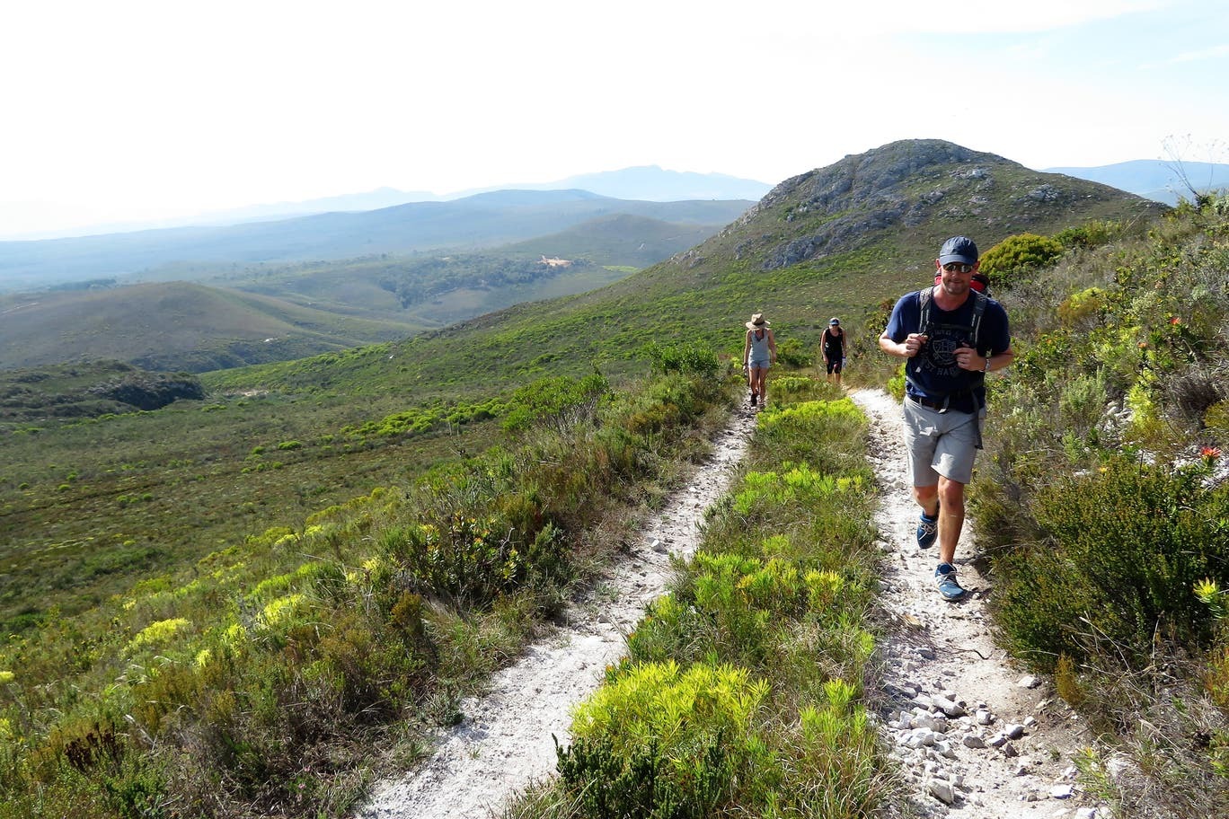 Grootbos : le « safari végétal » en Afrique du Sud qui se concentre sur la flore, pas sur la faune