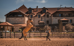 Equicoaching et équithérapie au Domaine de la Klauss : le bien-être par les chevaux